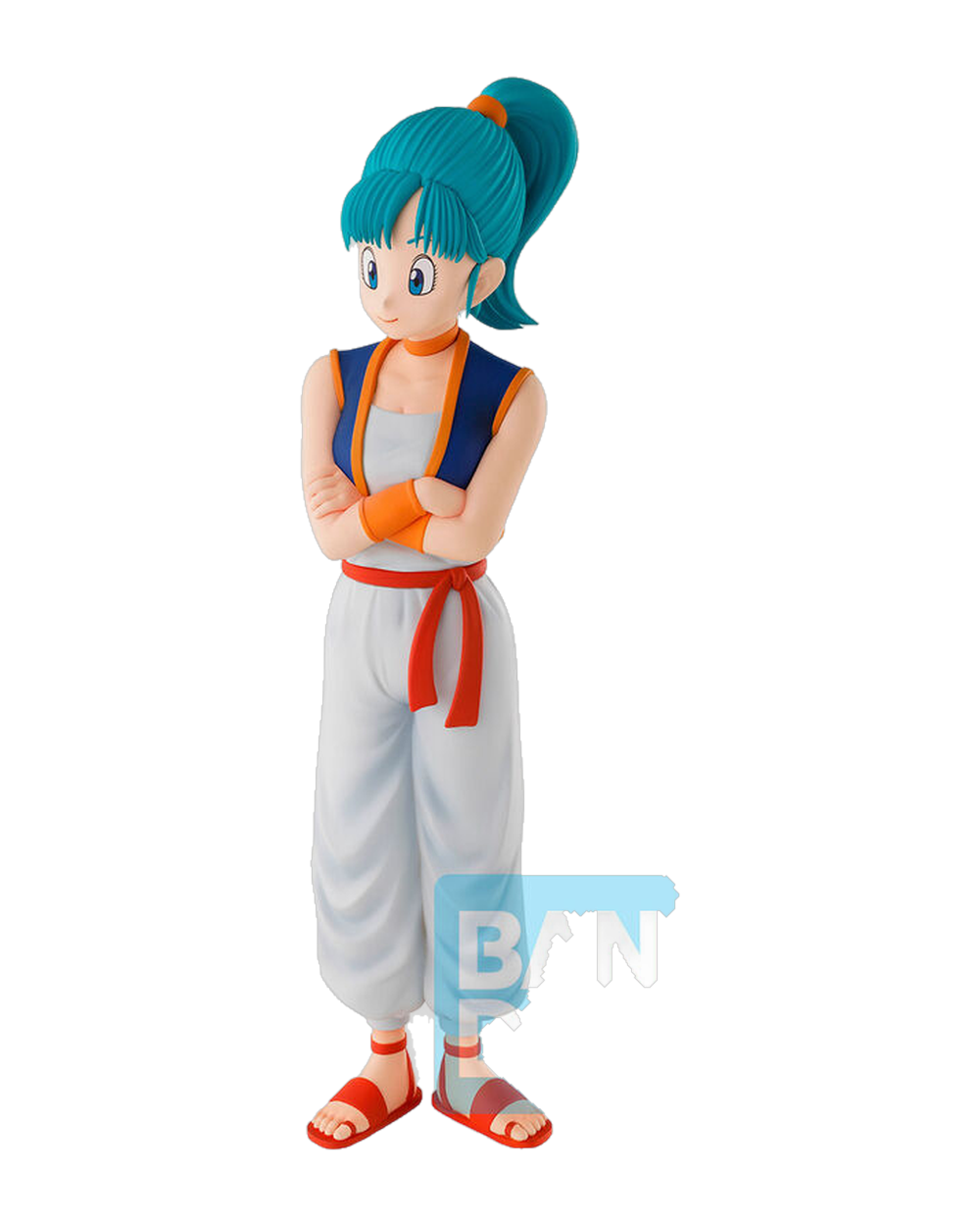 Bulma — Training Section