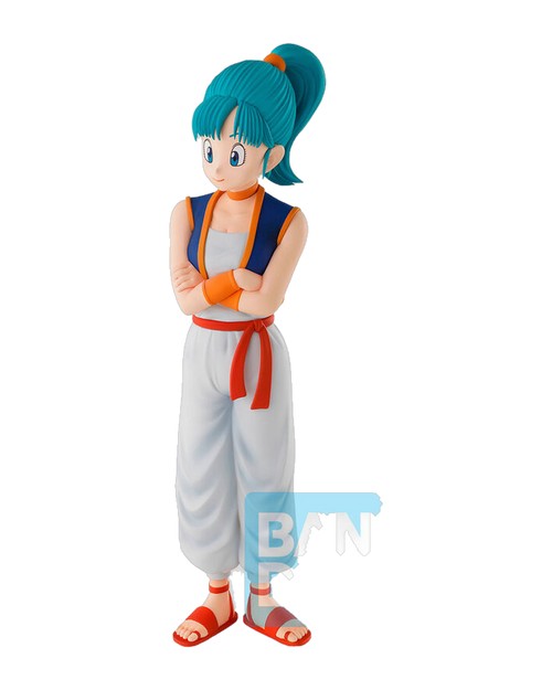 Bulma — Training Section