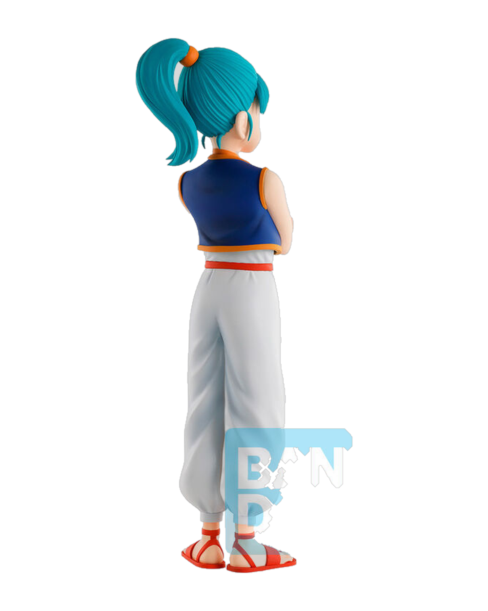 Bulma — Training Section