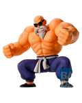Master Roshi — Training Section
