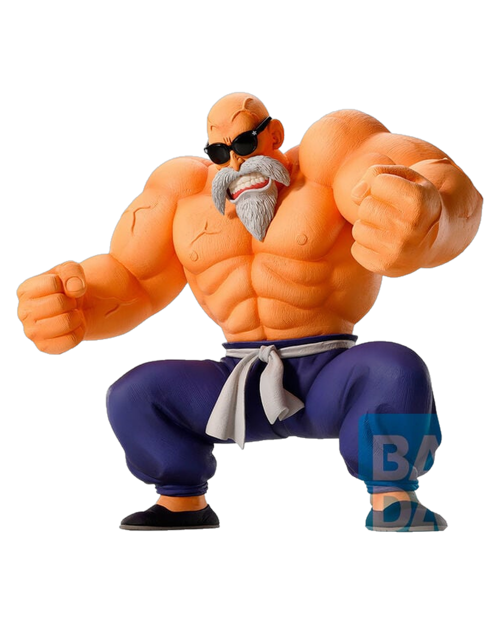 Master Roshi — Training Section