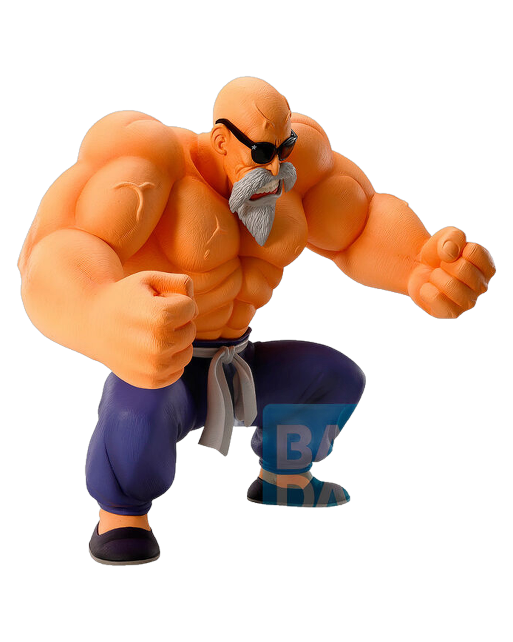 Master Roshi — Training Section