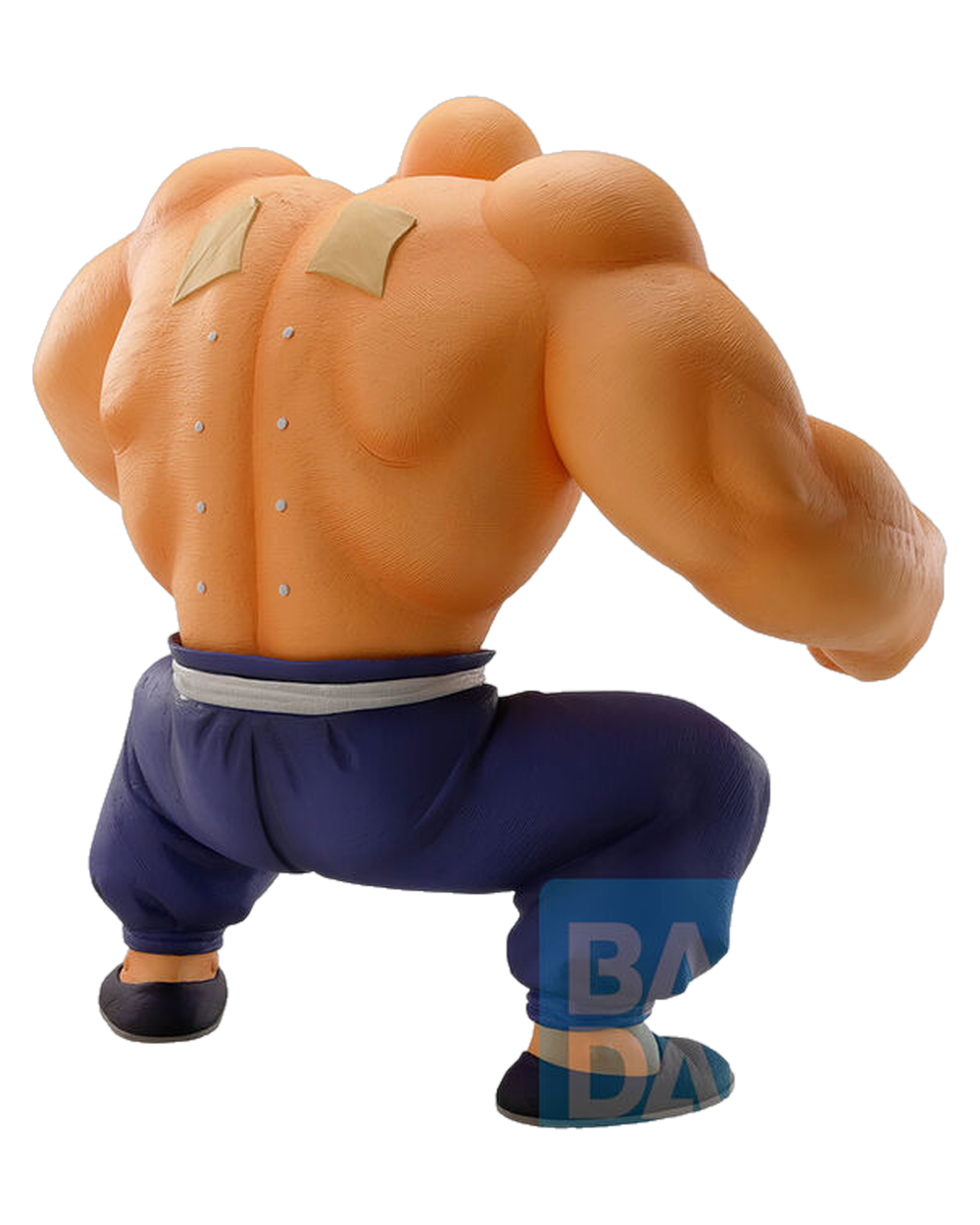 Master Roshi — Training Section